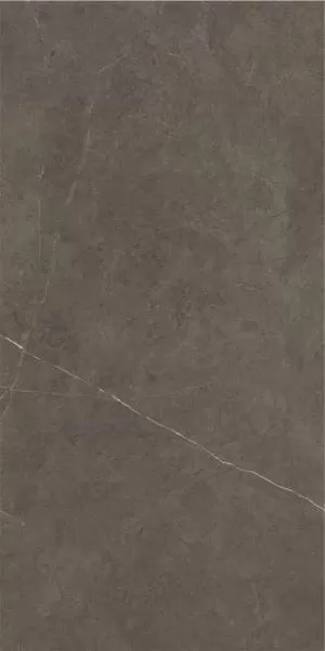 Керамогранит Northon Taupe Pul Rect. 59x119