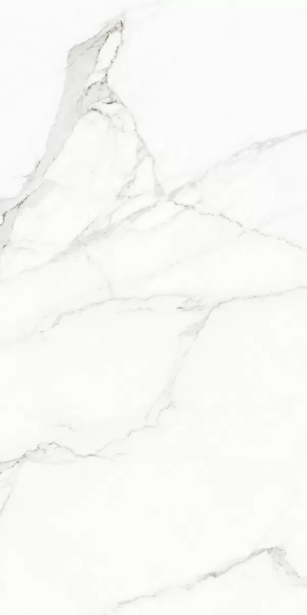 Керамогранит 120126 WHITE BEAUTY NATURALE+RETTIFICATO 60x120