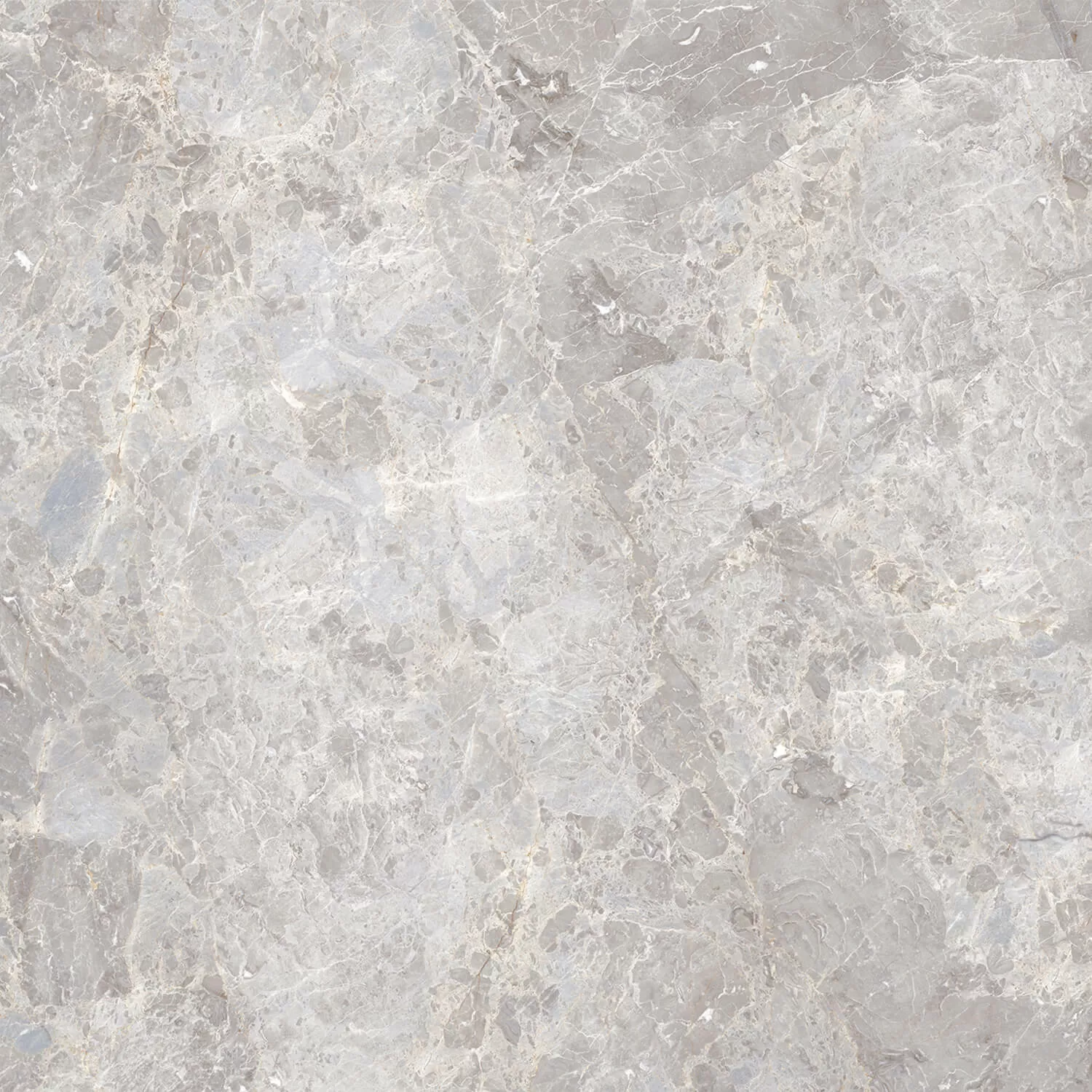 Керамогранит 100305826 Elegant Bone Pulido 120x120