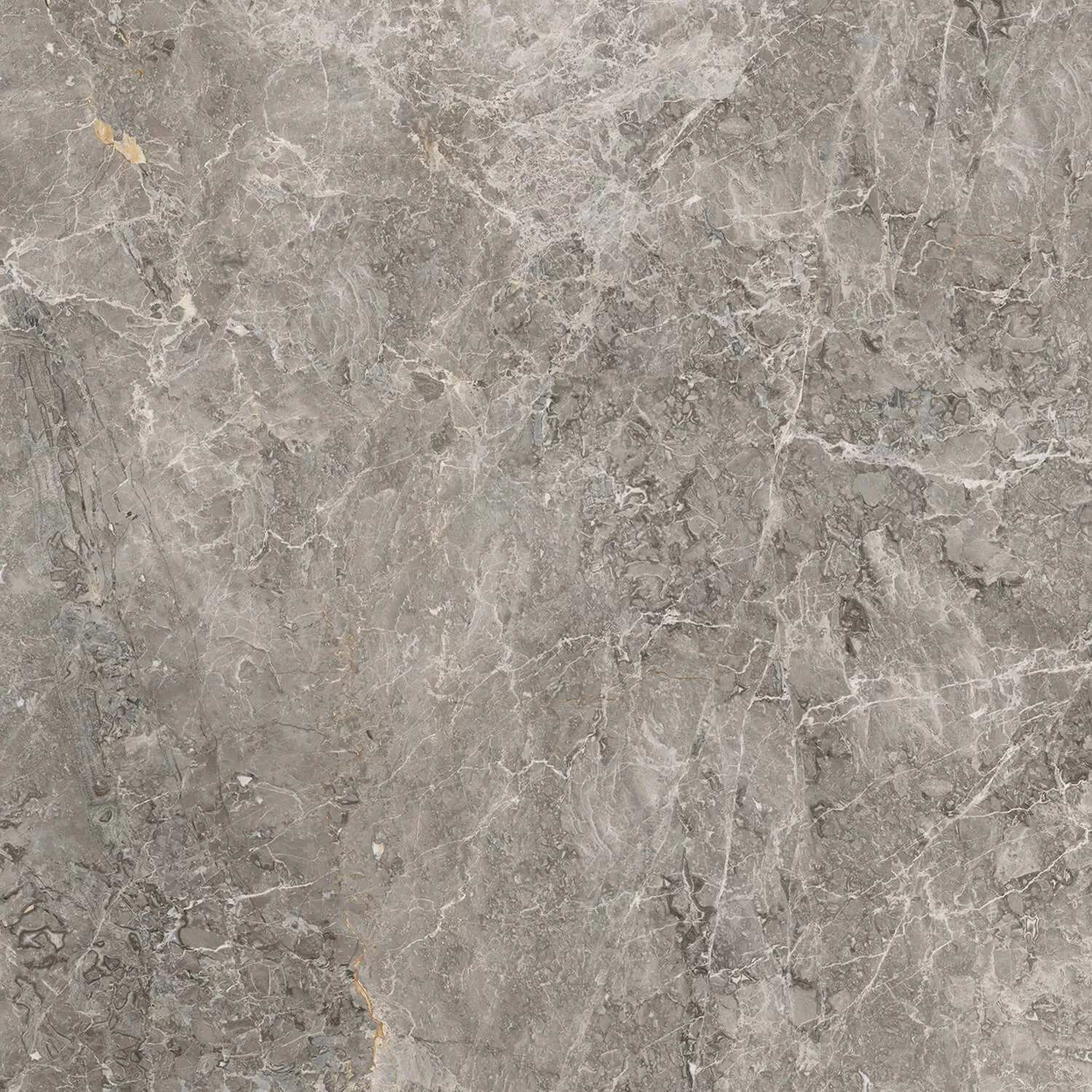 Керамогранит 100305811 Elegant Grey Pulido 120x120