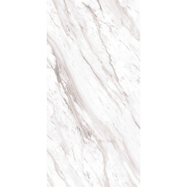 Керамогранит Atlanta White Silver Glossy Carving 60х120 SS
