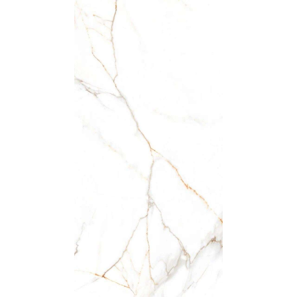 Керамогранит Austrain Natural Glossy 60х120