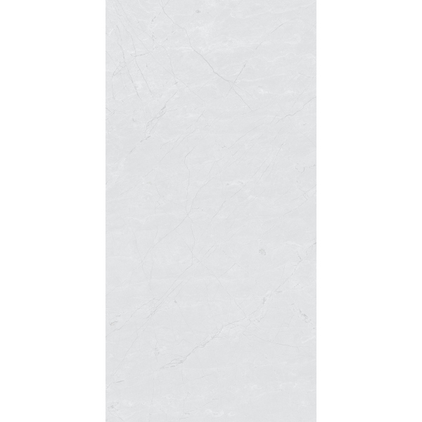 Керамогранит RS 123 White Carving 60х120