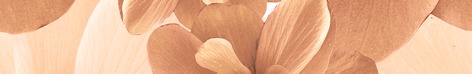 Плитка Pastel Бордюр B300-3D124 30х4,5