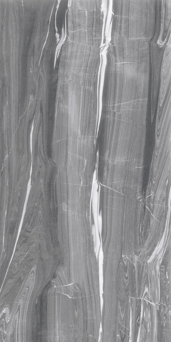 Керамогранит 74918 Dark Grey Lev Ret 60x120