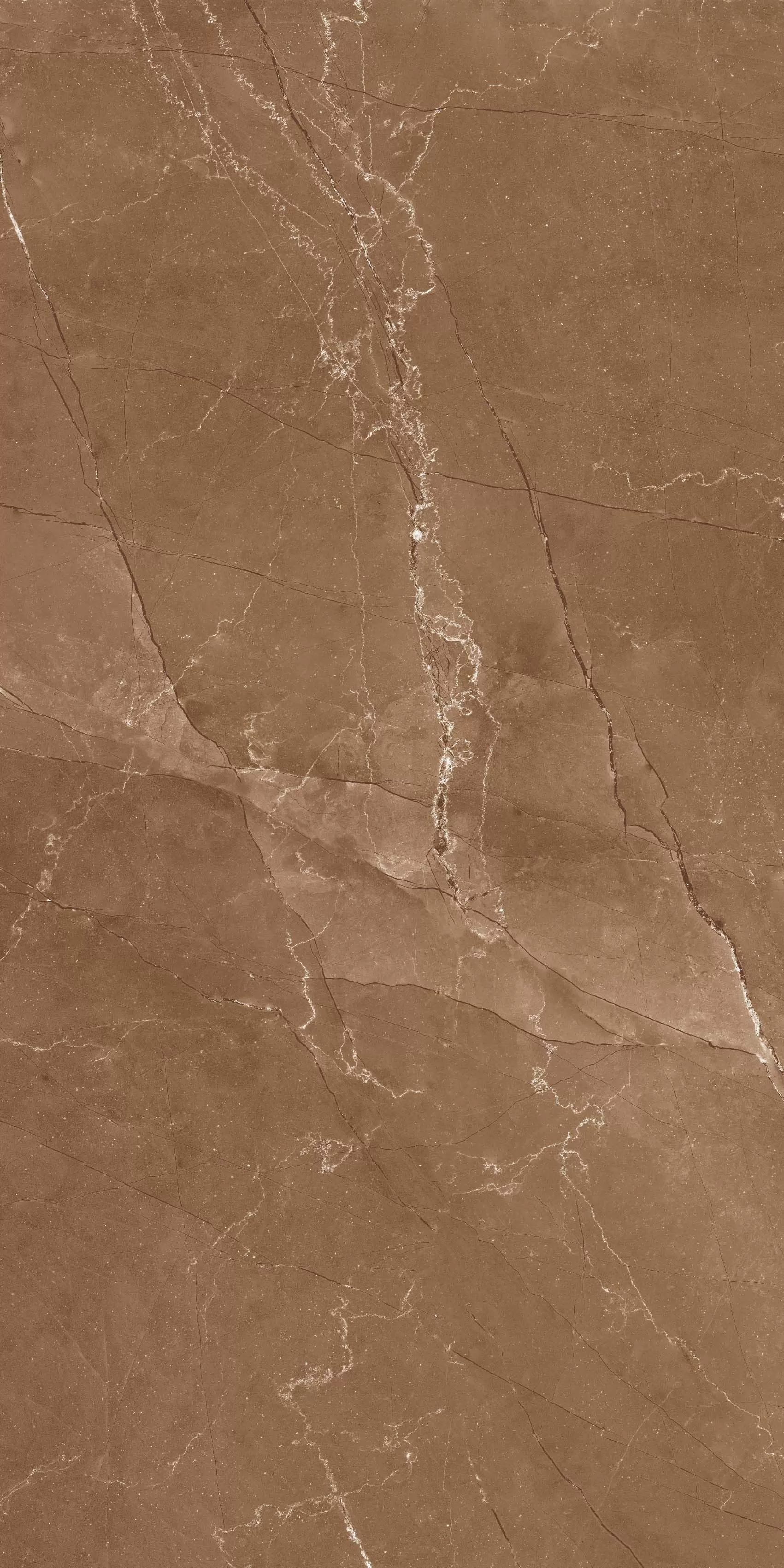 Керамогранит HARVEST NATURAL GLOSSY 60x120