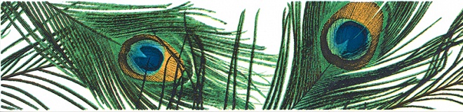 Плитка STG/A120/11000T Павлин 30*7,2