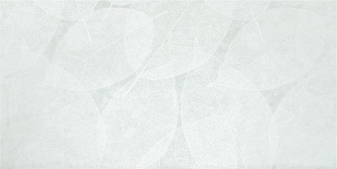 Керамогранит ELEGANZA Pale Arte Carving 60x120