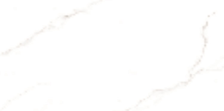 Керамогранит LIONI White Glossy 60x120
