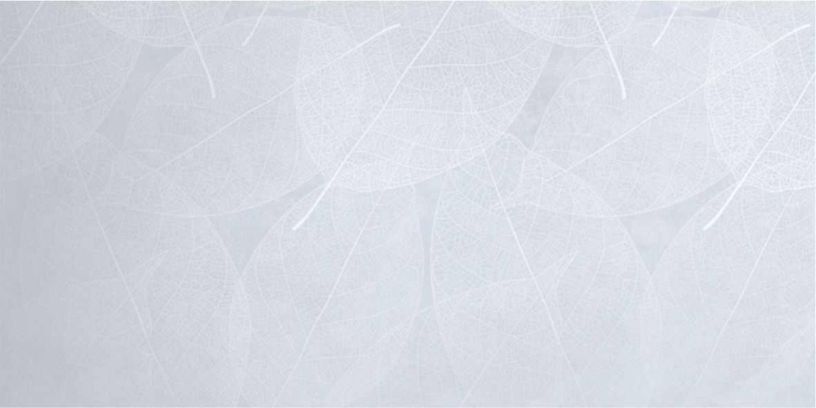 Керамогранит ELEGANZA Sky Arte Carving 60x120