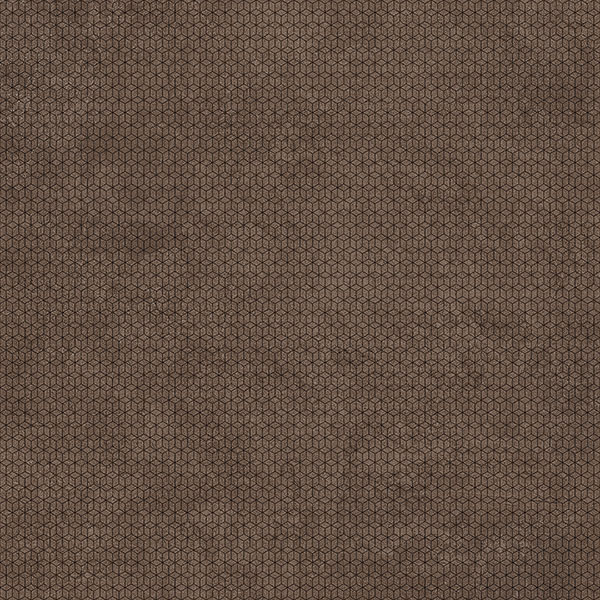 Керамогранит ETERNA Coffee Carving 60x60