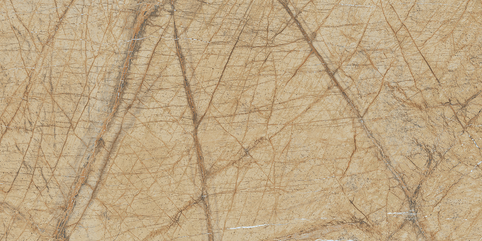 Керамогранит WATTLE Beige Drab 60x120