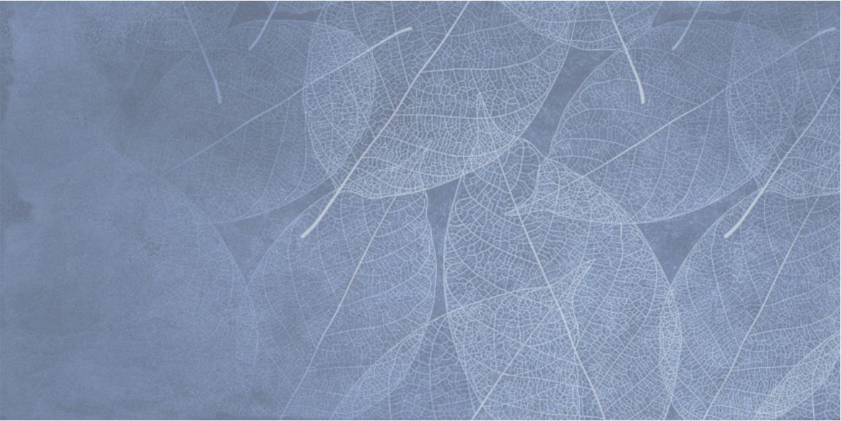 Керамогранит ELEGANZA Blu Arte Carving 60x120