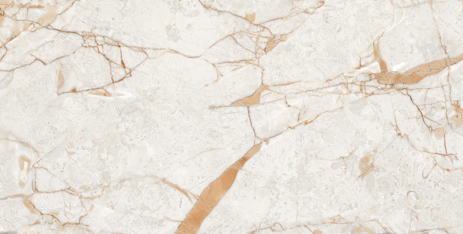 Керамический гранит Rosalia Polished 60x120