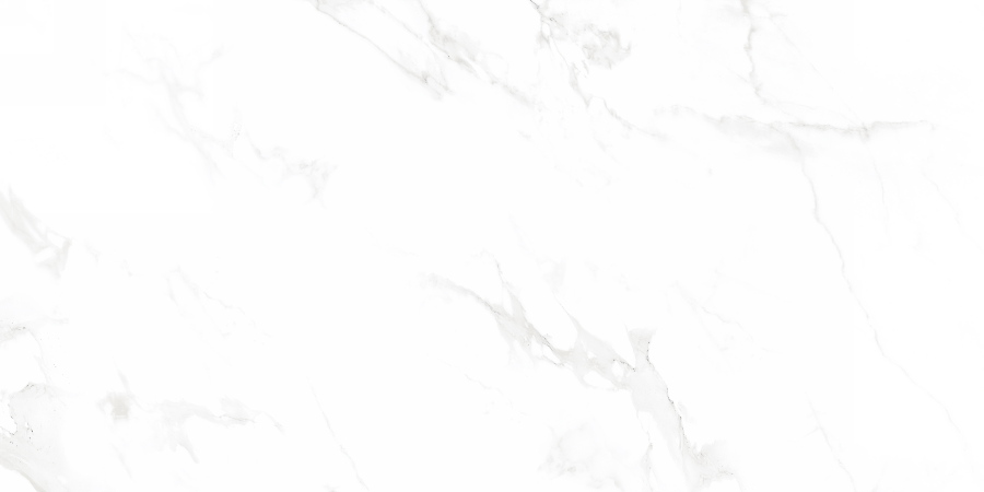 60x120 Venus Bianco Polished 60x120