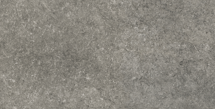 60x120 Sandstone Nero Matt 60х120