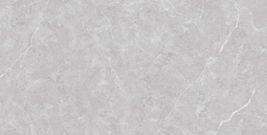 Керамический гранит Tokyo Grey Matt 60x120