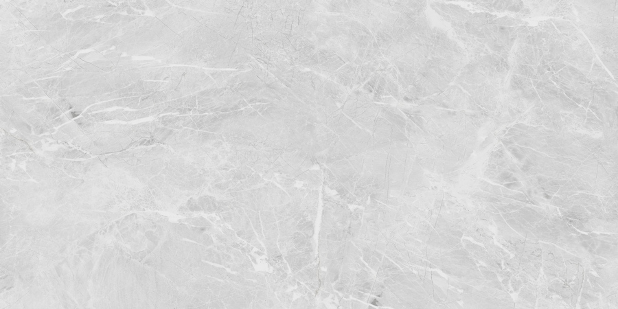 60x120 Eva Grey Polished 60x120