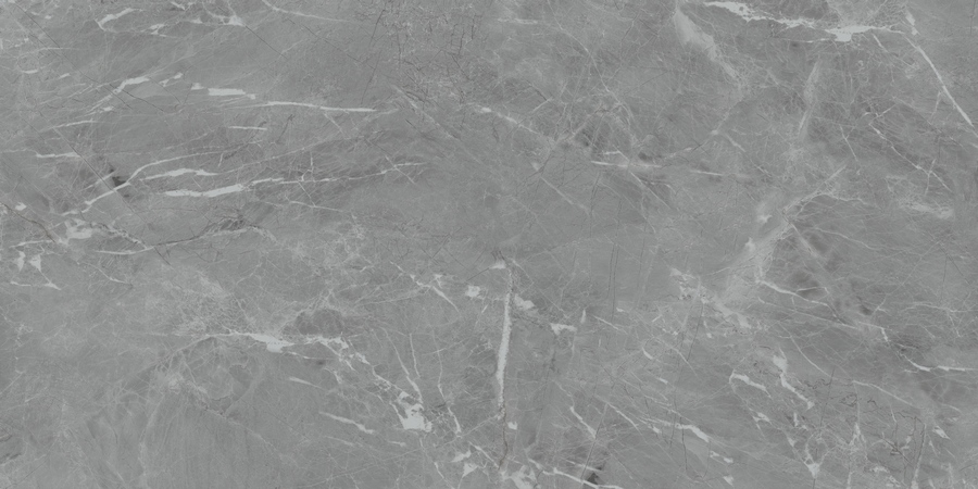 Керамический гранит Eva Gris Polished 60x120