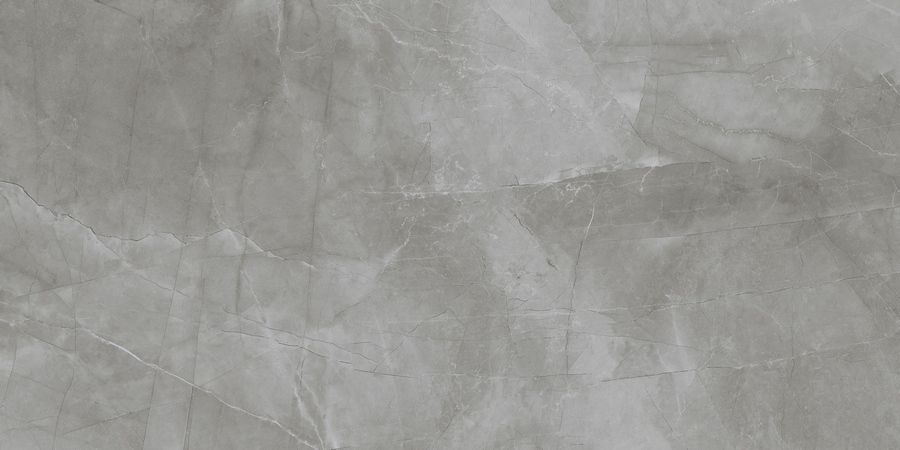 Керамический гранит Passion Grafito Soft 60x120