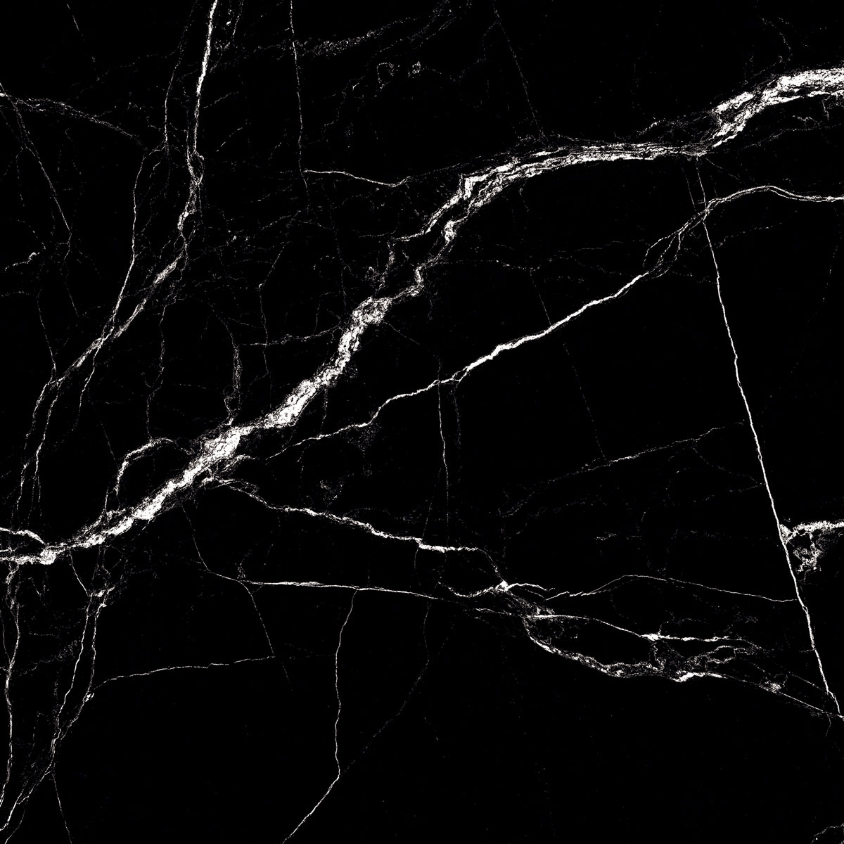 Плитка Fossil Slate 60x60 High Gloss-С0004561