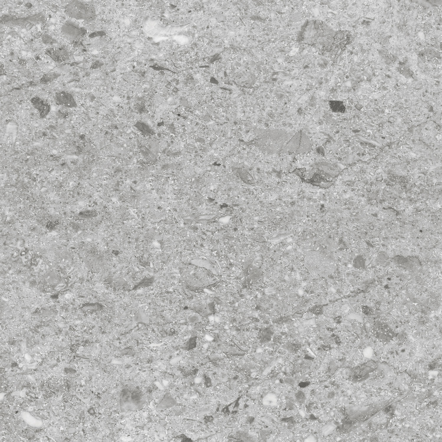 Плитка Canyon Silver 60x60 Matt-С0005418