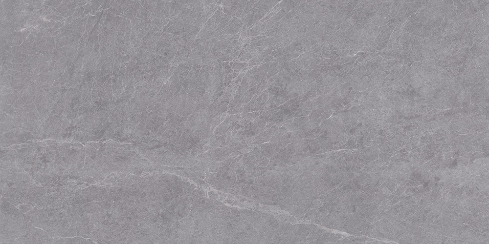 Плитка Alpine Gris Matt 60x120-С0005930