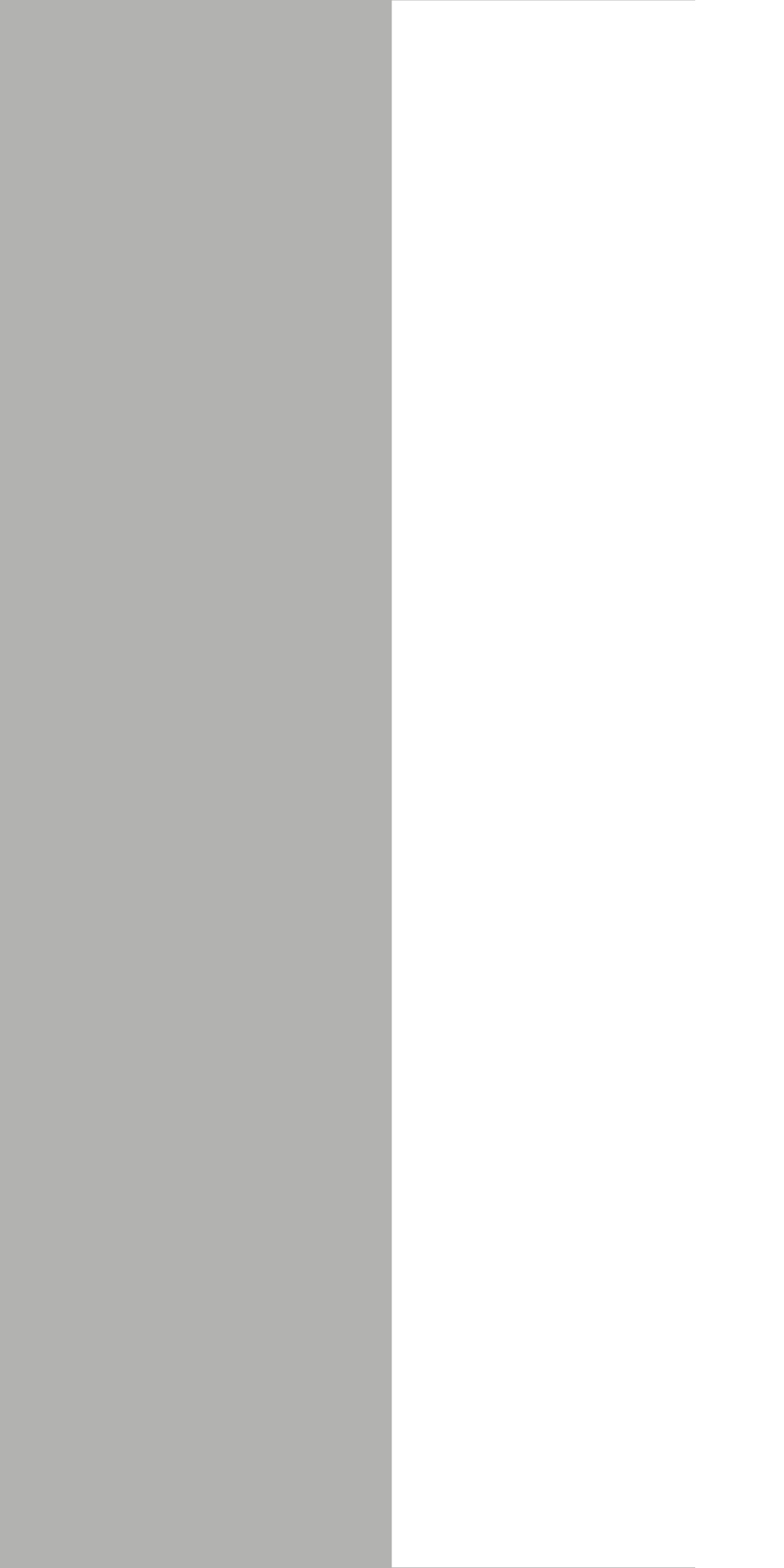Слэб керамический MONO GREY 800х3200х12мм MATT