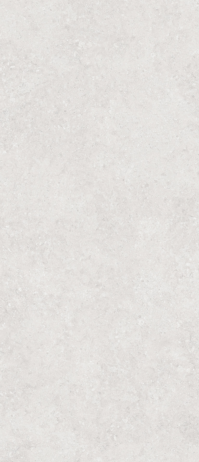 Слэб керамический ONEGA SILVER 2780х1200х6мм XYLOTECH Matt