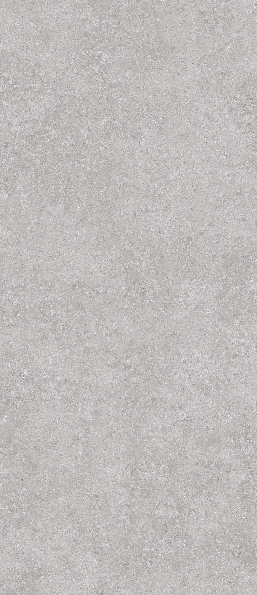 Слэб керамический ONEGA GREY 2780х1200х6мм XYLOTECH Matt